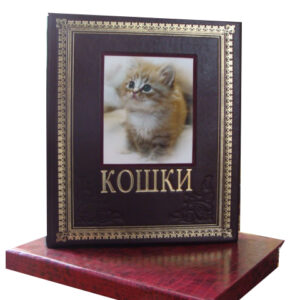 Кошки